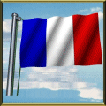 [Frenchflag.gif]