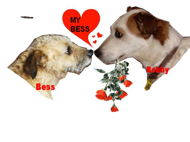 [bob+loves+bess.jpg]
