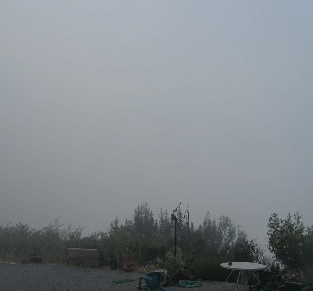 [IMG_1254+-+smoke:fog.jpg]