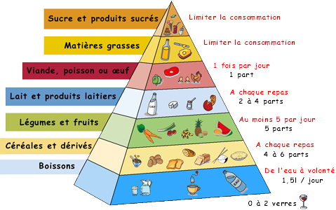 [pyramide-alimentaire.png]