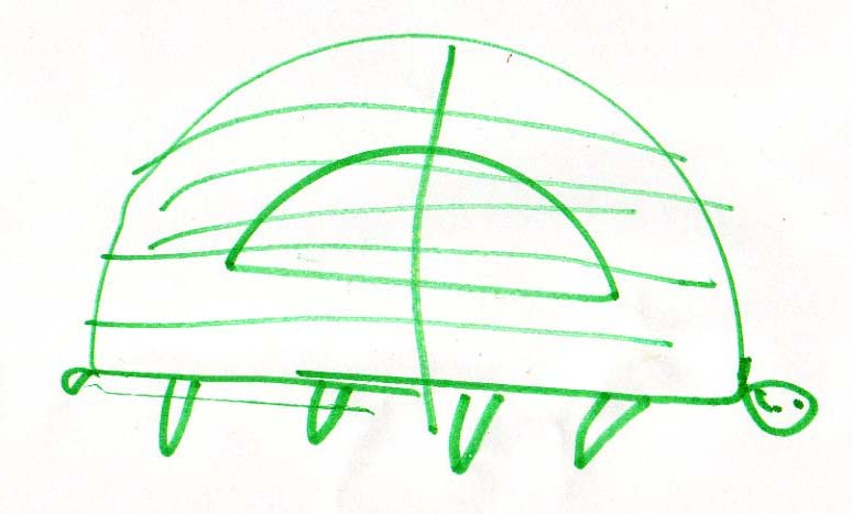 [Hannah's+Turtle054.jpg]