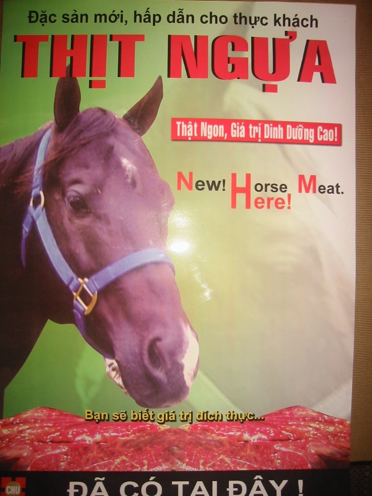[Horse+meat+2.jpg]