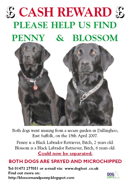[Blosssom+and+Penny+Poster.jpg]