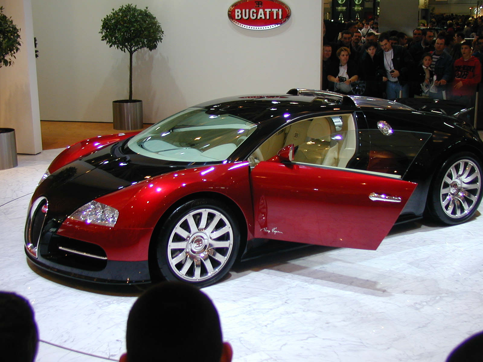 [Bugatti_Veyron.jpg]