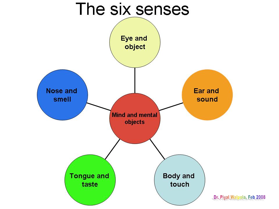 [The+six+senses.jpg]