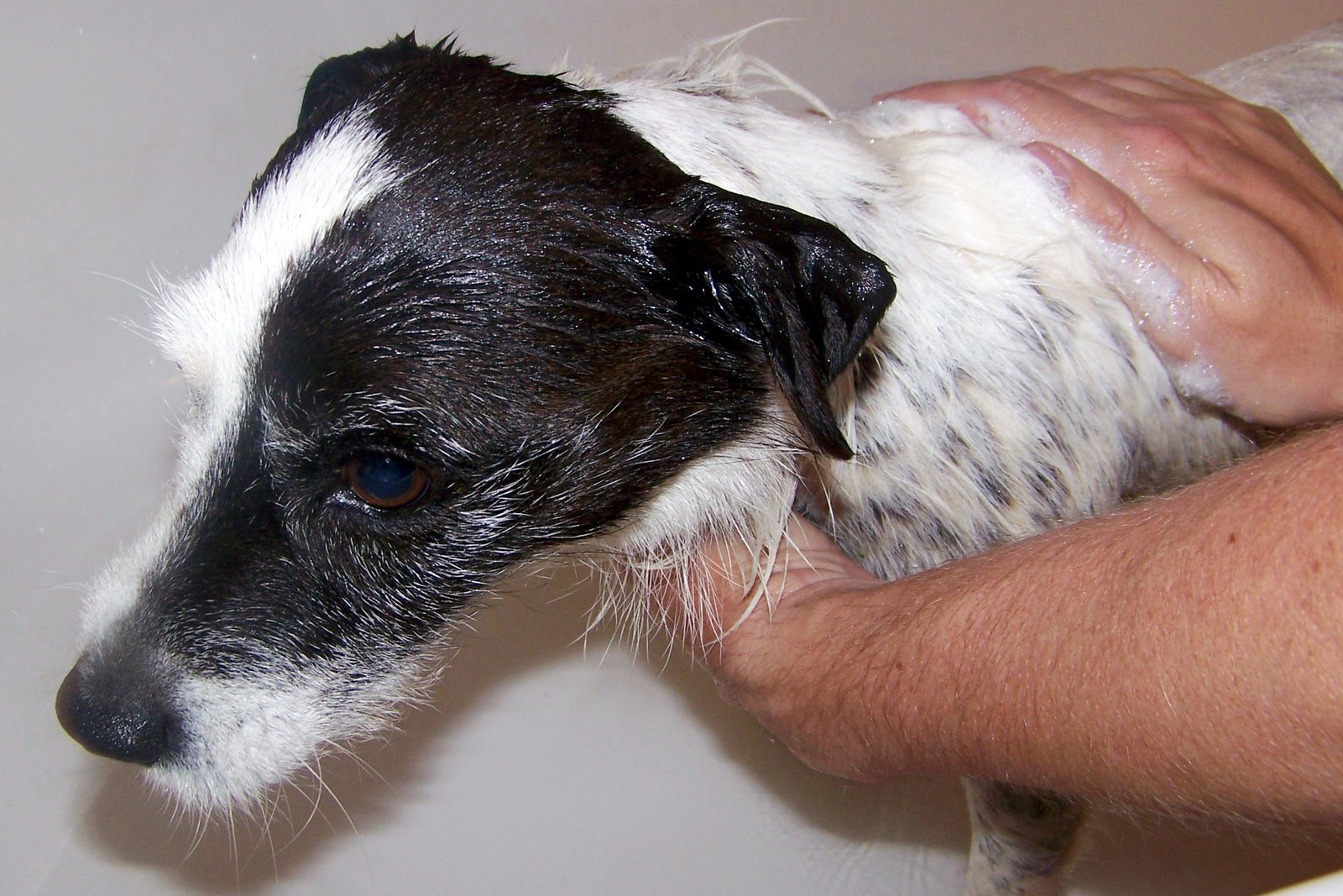 [070513+Coopers+First+Bath+04.JPG]