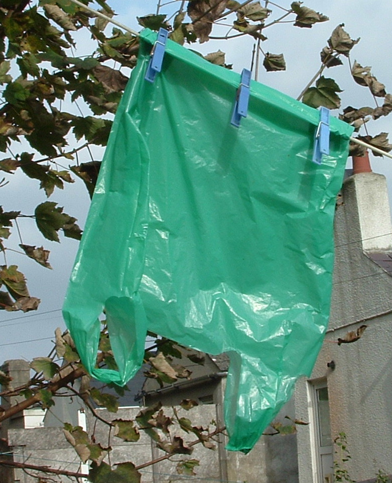 [071014.+The+Plastic+Bag.jpg]