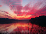 [sunset_profilepic.jpg]