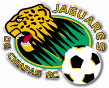 [Jaguares2.GIF]