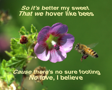 [bees.png]