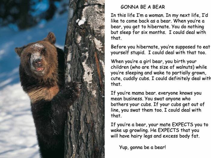 [Gonna+Be+A+Bear.bmp]