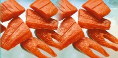 [salmon.jpg]