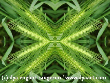 [SAGE+15+(D-3896)+(c)+dya+englert+saugeron+-+www.dyaart.com+(image+shrunk).jpg]