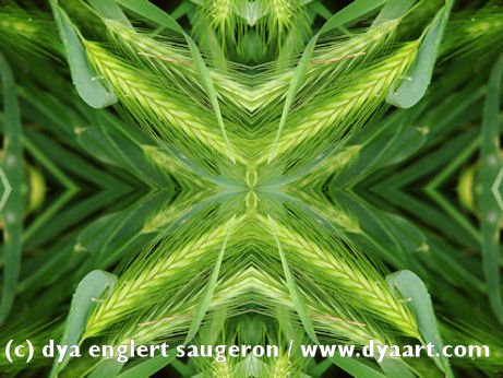 [SAGE+6+(D-3896)+(c)+dya+englert+saugeron+-+www.dyaart.com+(image+shrunk).jpg]
