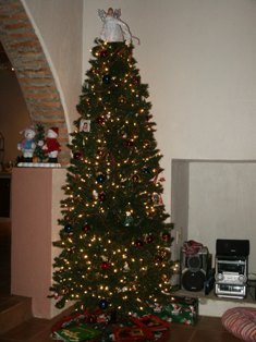 [Christmas+Tree+2006.JPG]