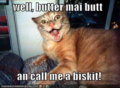 [funny-pictures-cat-wants-its-bottom-buttered.jpg]