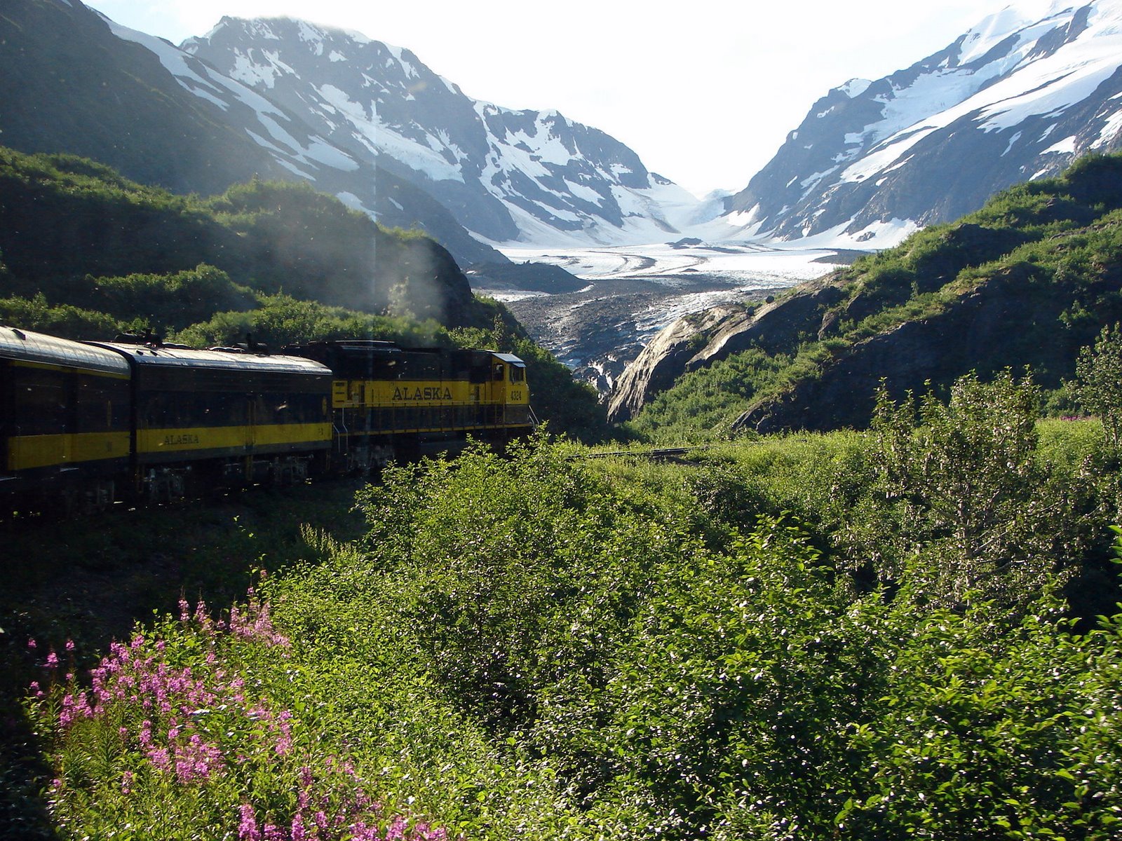 [train+glacier+fireweed.jpg]