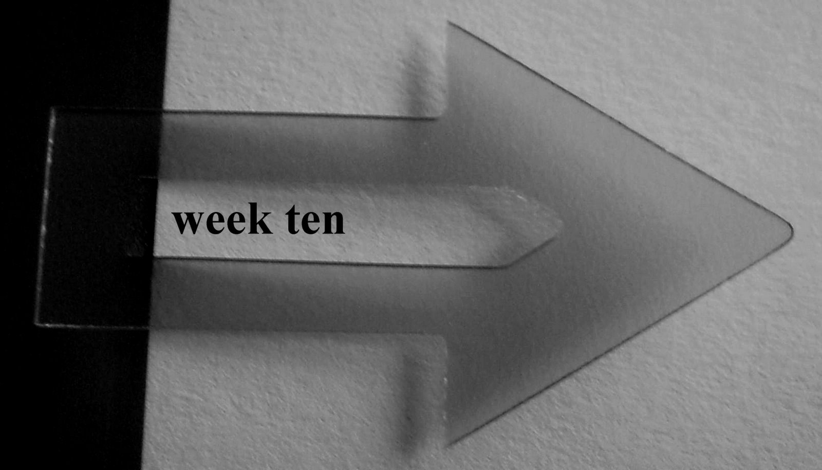 [week+10.JPG]