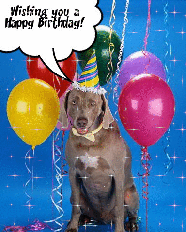 [happy-birthday-dog.gif]