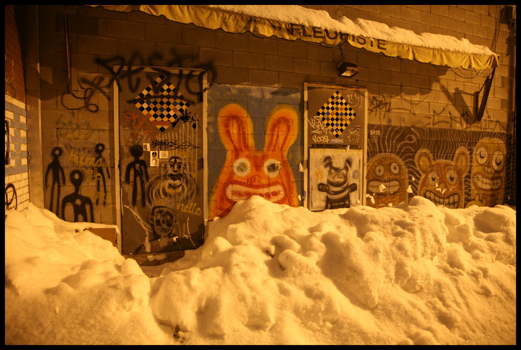 [Tag+et+neige+-+version+internet+-+Montreal+2007.jpg]