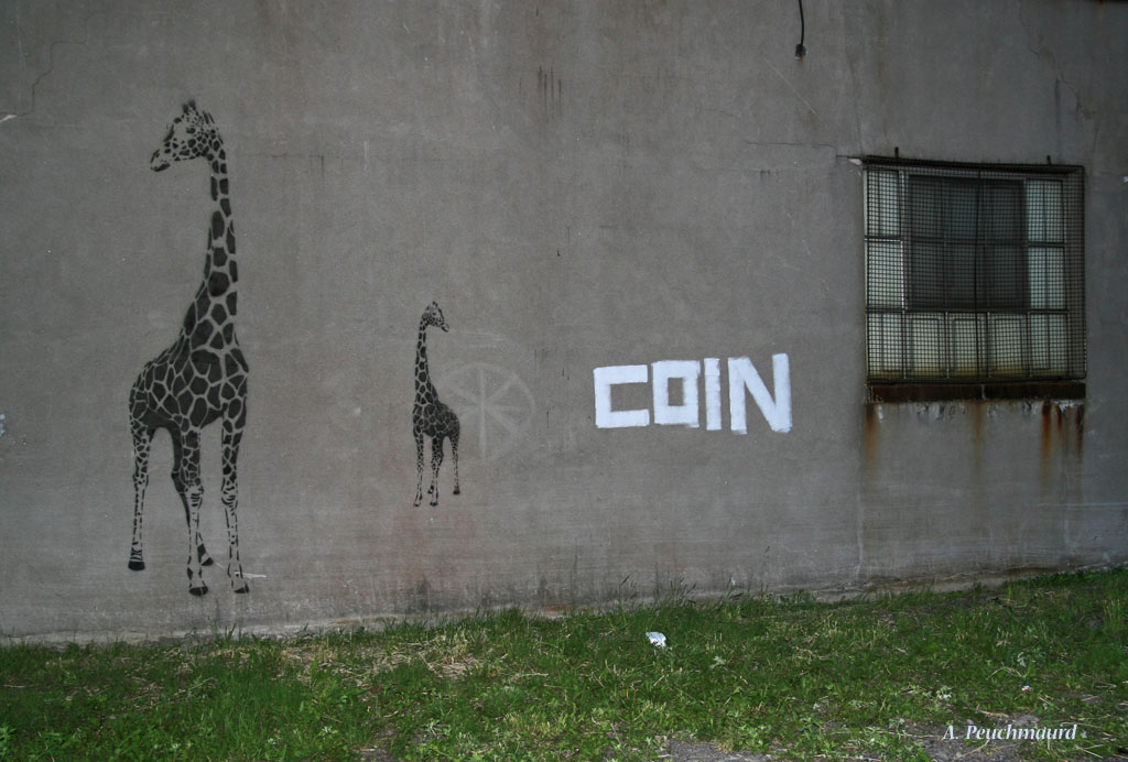 [Girafes+en+coin+-+mai+2007+-+version+internet.jpg]
