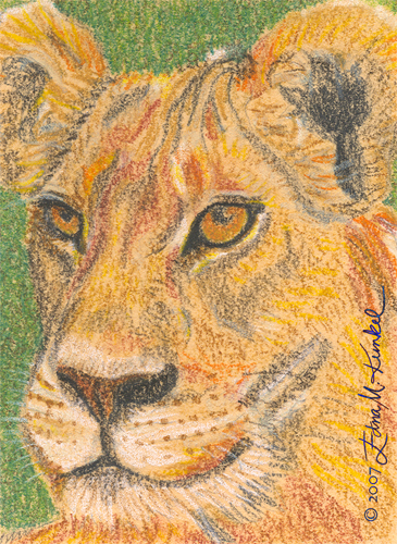 [Lioness_ACEO.jpg]