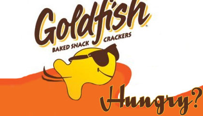 [goldfish-banner.jpg]