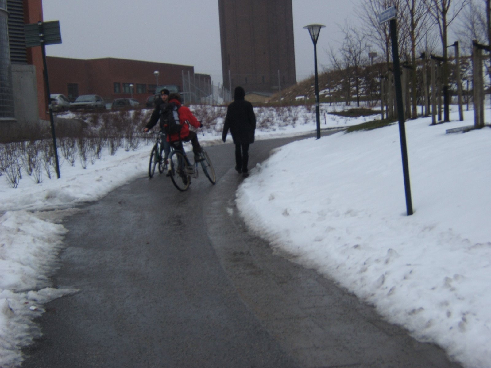 [bike+path+in+snow.JPG]