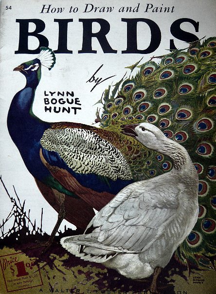 [bird+book.jpg]