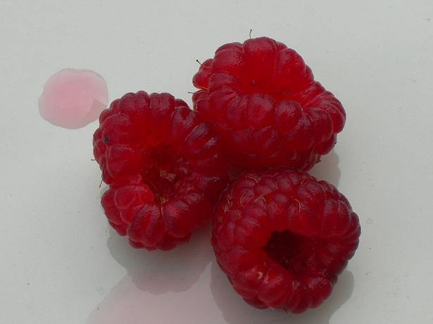 [raspberries.JPG]