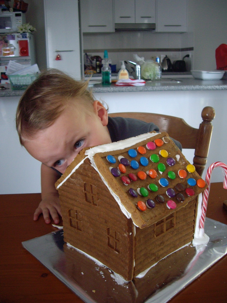 [miles+and+gingerbread+house+no+hands.jpg]