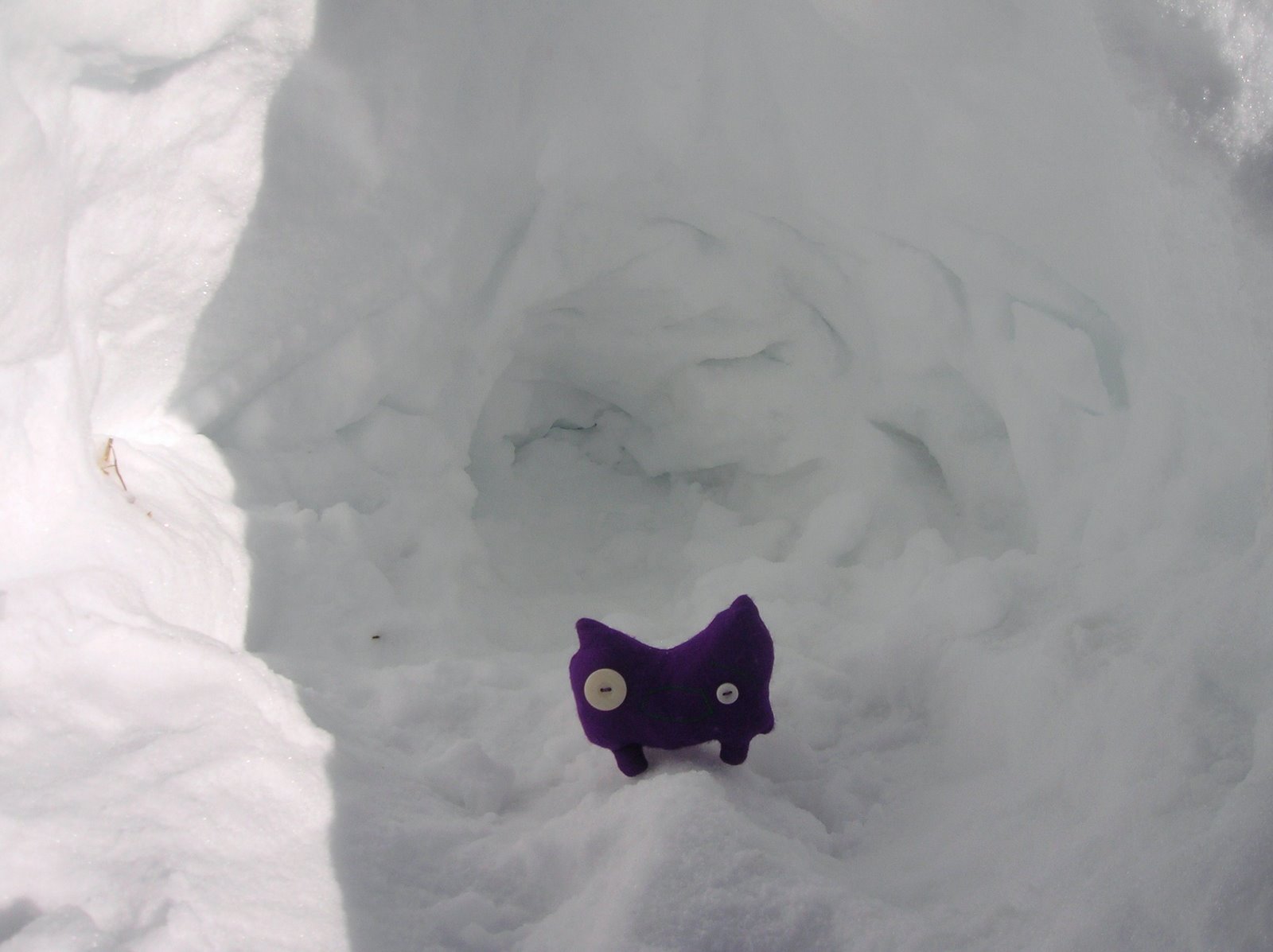 [Clarence's_Snow_Cave.JPG]