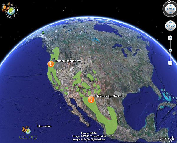 [Google+Earth+Migrations.jpg]