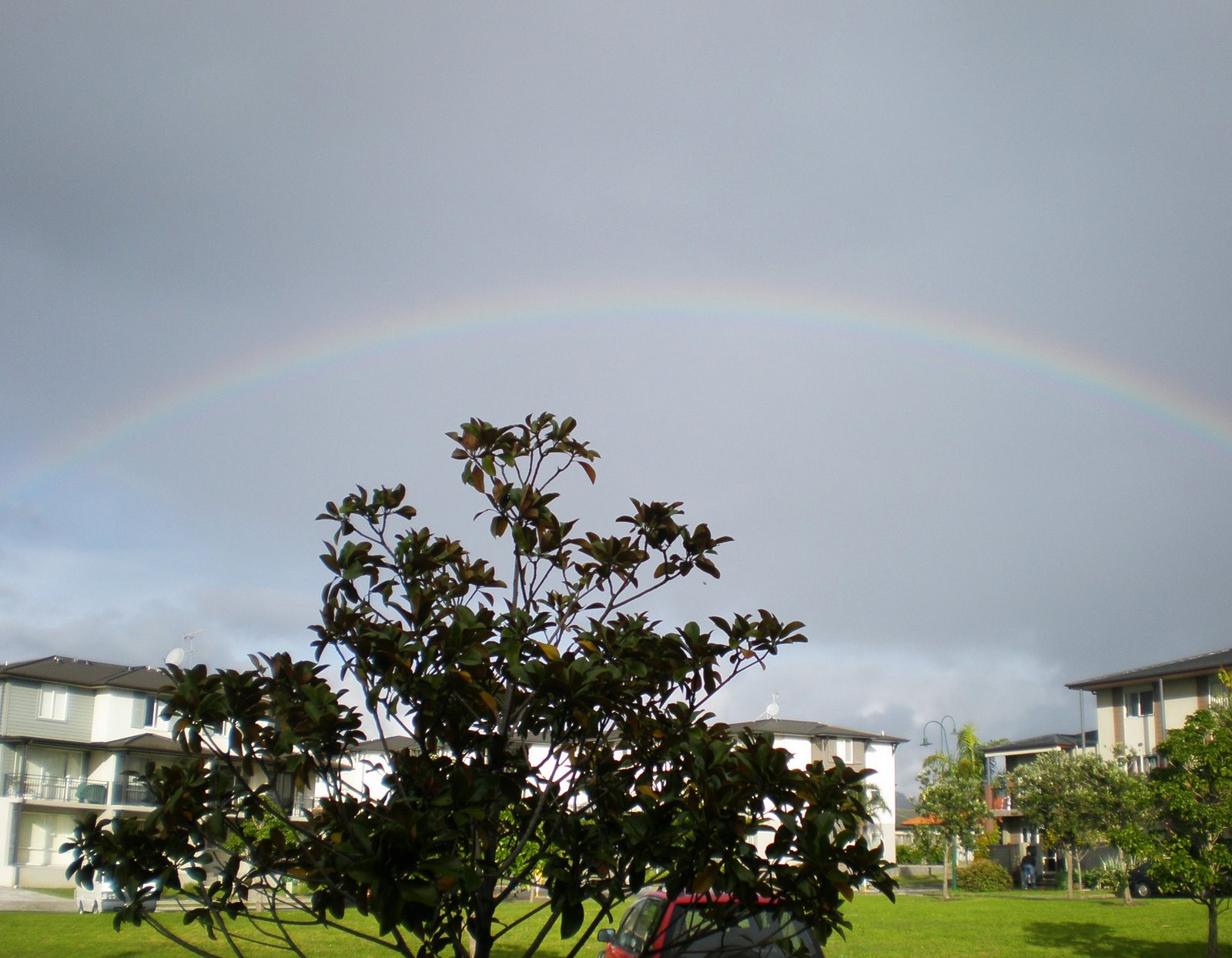 [rainbow.JPG]