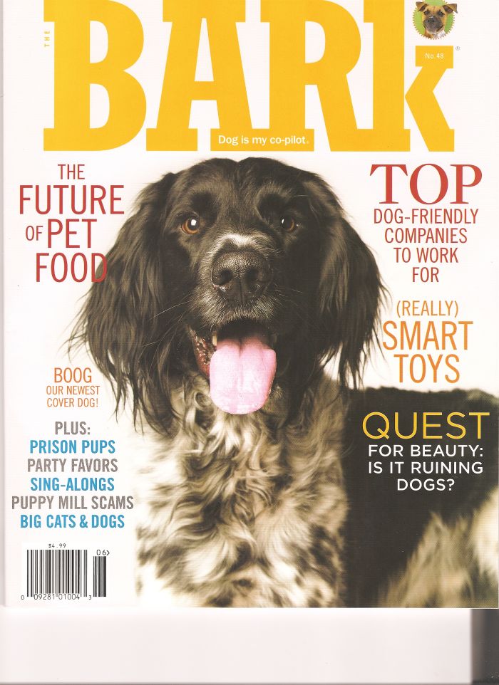 [Bark+Magazine+Cover.jpg]