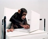 [Chimpance+Computador.jpg]