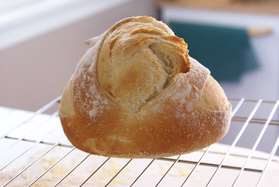 [bread]