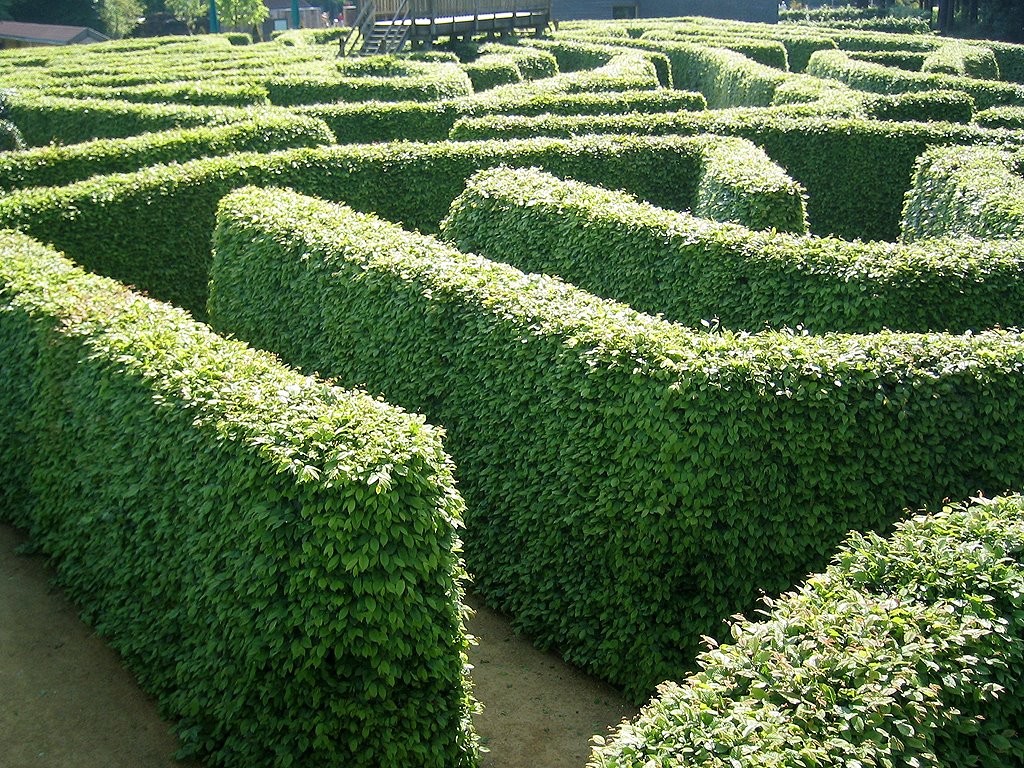 [labyrinth.jpg]