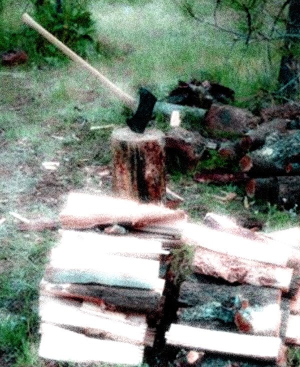 [firewood.jpg]