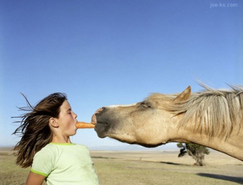 [Horse_Eating_Carrot_Out_of_Womans_Mouth.jpg]
