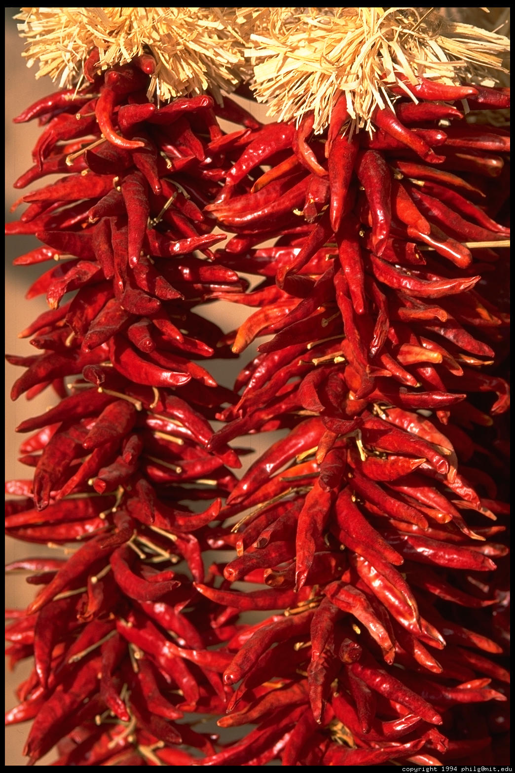[chili-peppers-35_4.jpg]