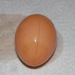 [egg]