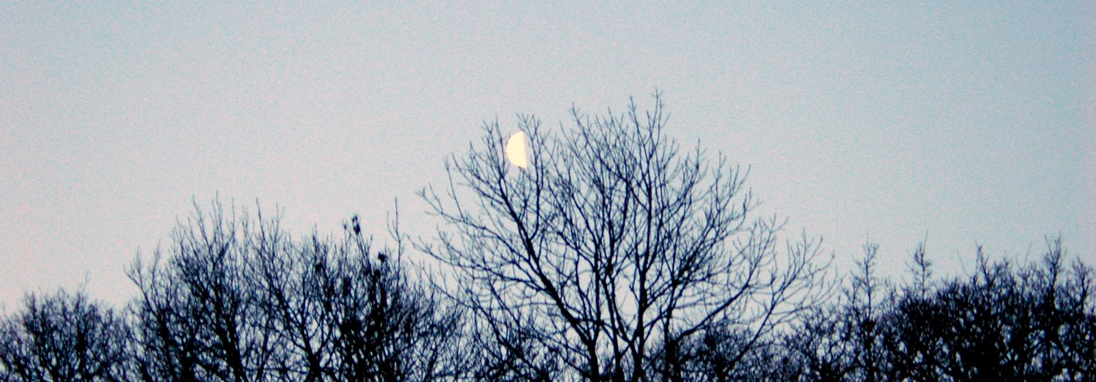 [Moon2+10-02-2007+07-32-591.jpg]