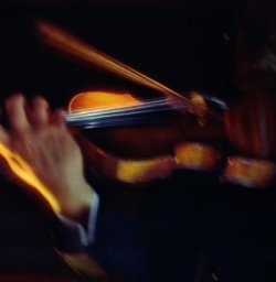 [violin.jpg]
