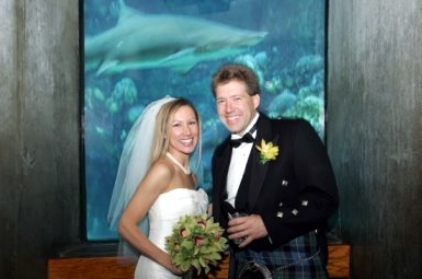 [Wedding_shark_bigger.jpg]