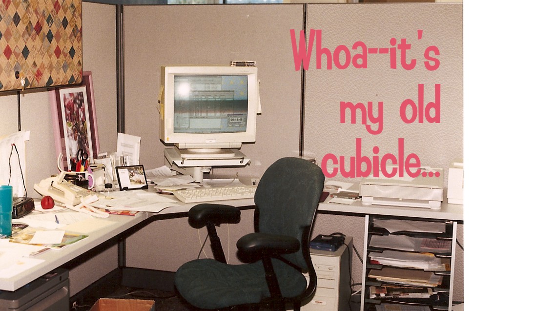 [cubicle.jpg]