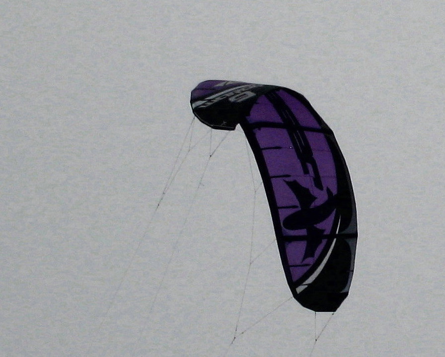 [purple+shark+kite.jpg]