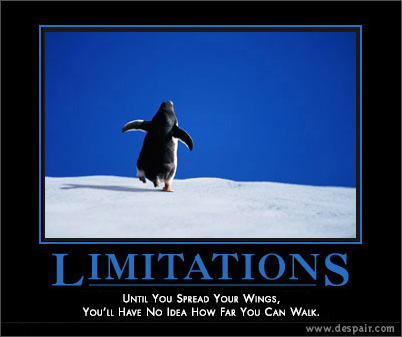 [limitations.jpg]