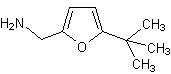 [1-(5-tert-butyl-2-furyl)methanamine.JPG]