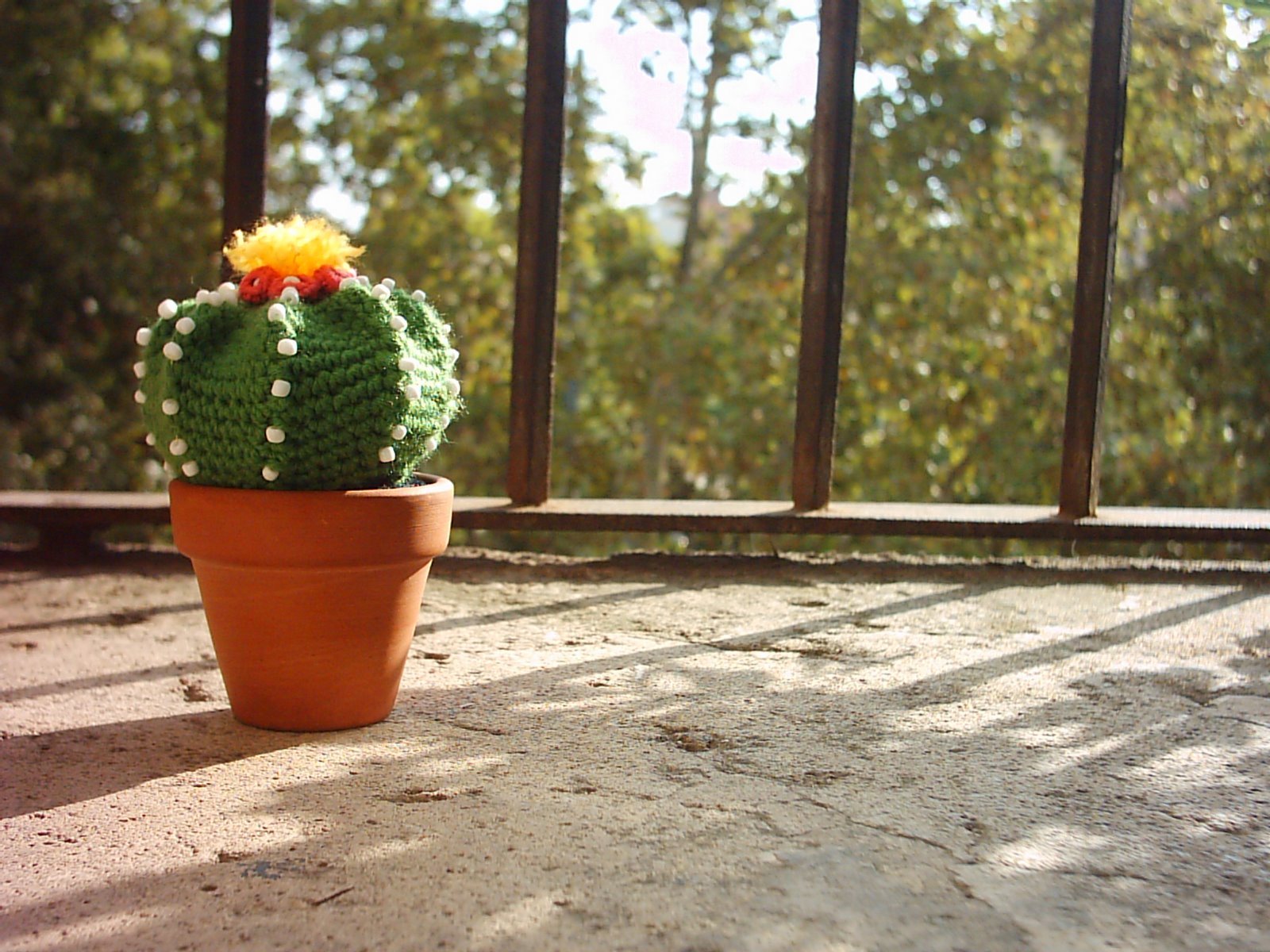 [cactus2+014.jpg]